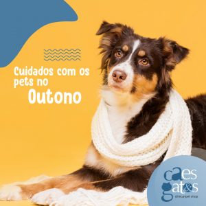 Cuidados com os Pets no Outono