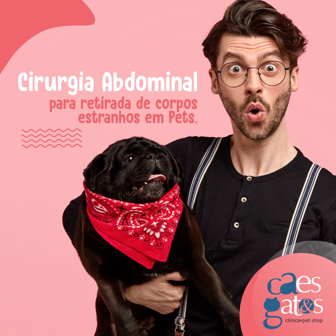 Cirurgia Abdominal para Retirada de Corpos Estranhos em Pets