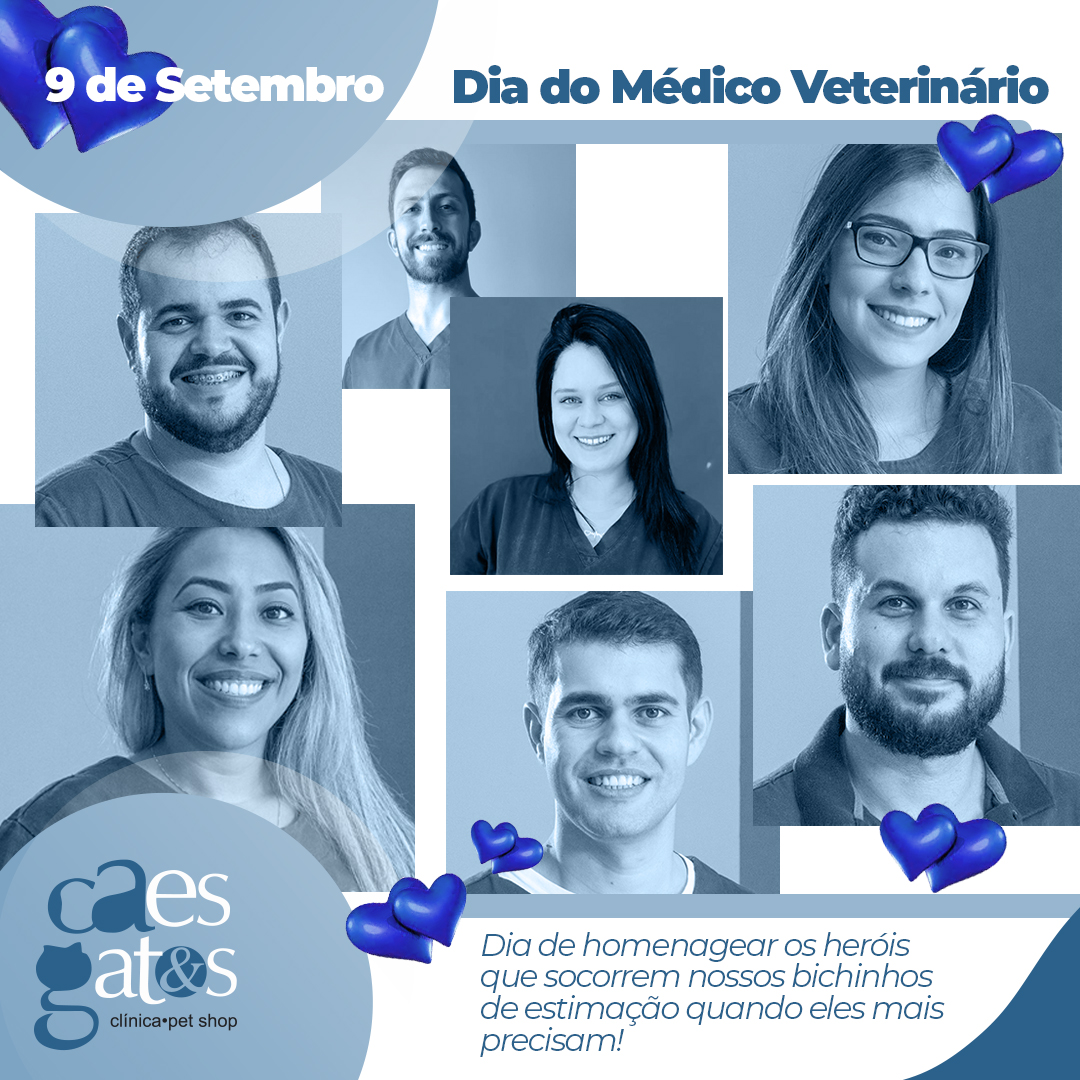 9 de Setembro | Dia do Médico Veterinário | Dia de homenagear os heróis que socorrem nossos bichinhos de estimação quando eles mais precisam!