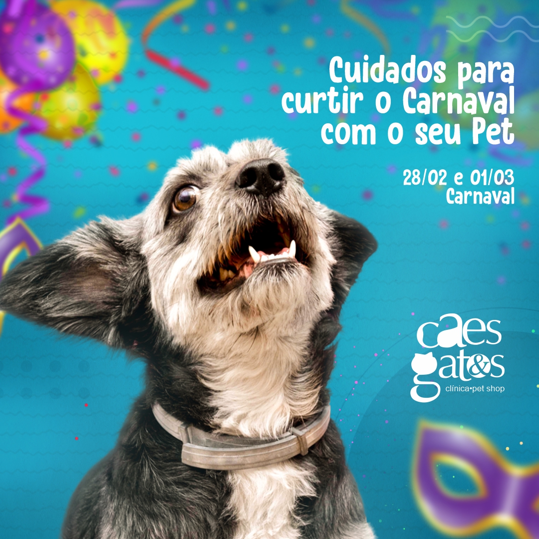 26 ideias de Carnaval dos animais