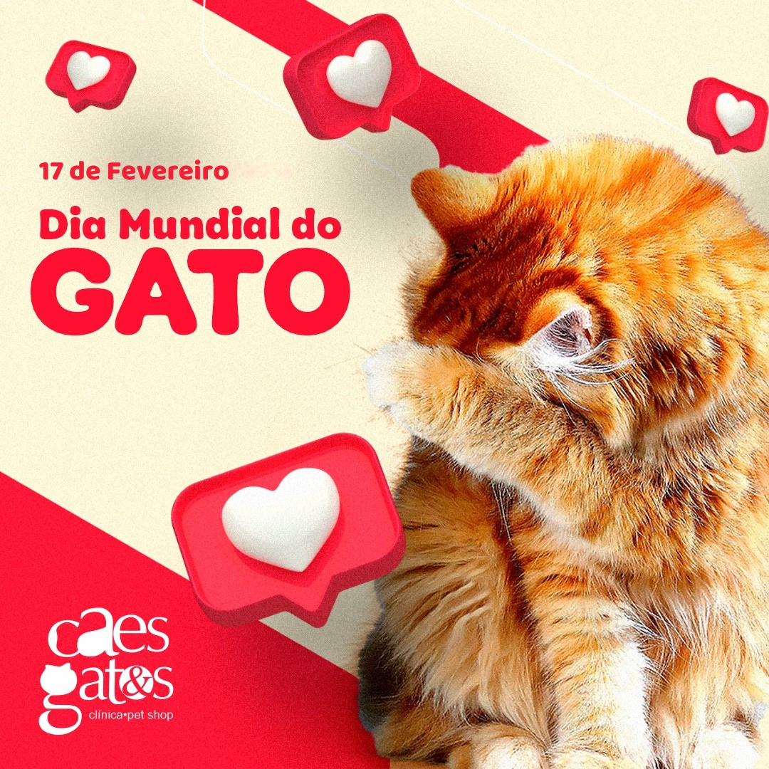 17/02 – Dia Mundial do Gato