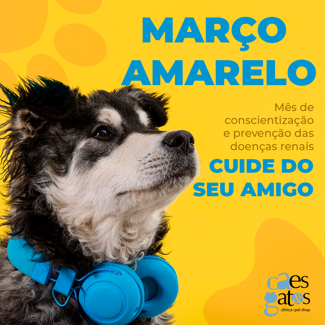 Março Amarelo – Mês de Conscientização e Prevenção das Doenças Renais