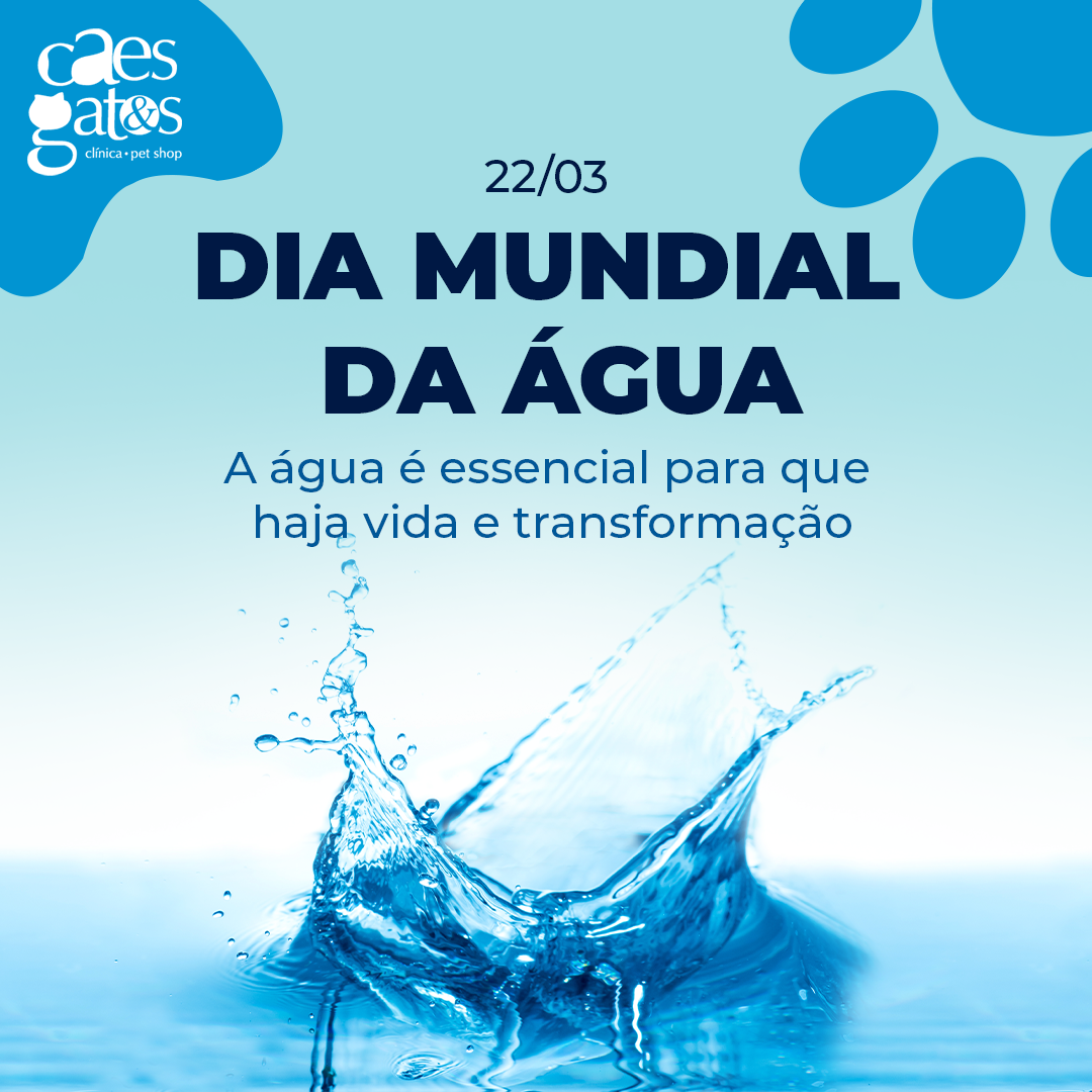 22/03 – Dia Mundial da Água