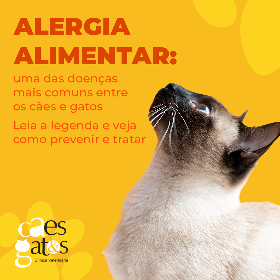 Alergia Alimentar