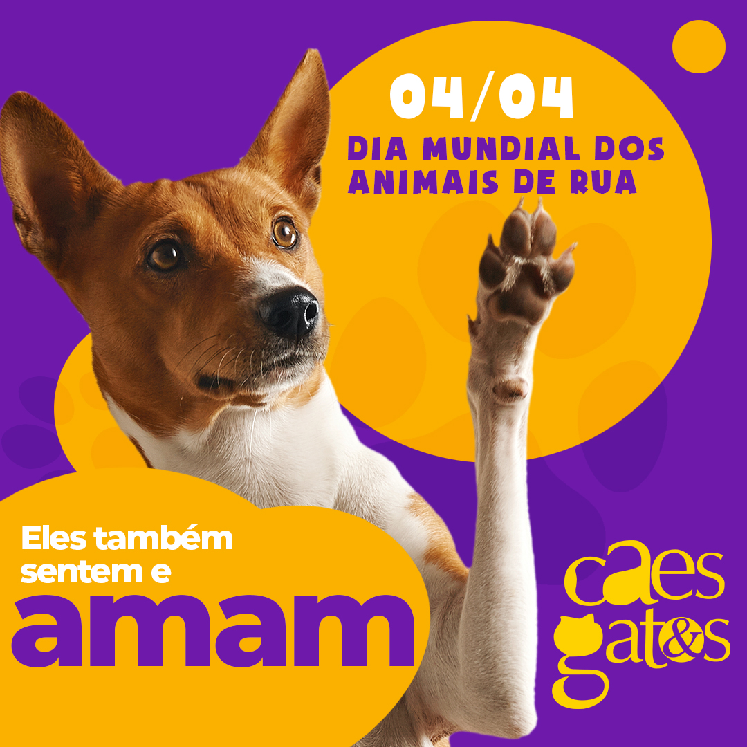 04/04 – Dia Mundial dos Animais de Rua