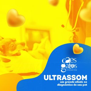 Ultrassom: Um Grande Aliado no  Diagnóstico do Seu Pet