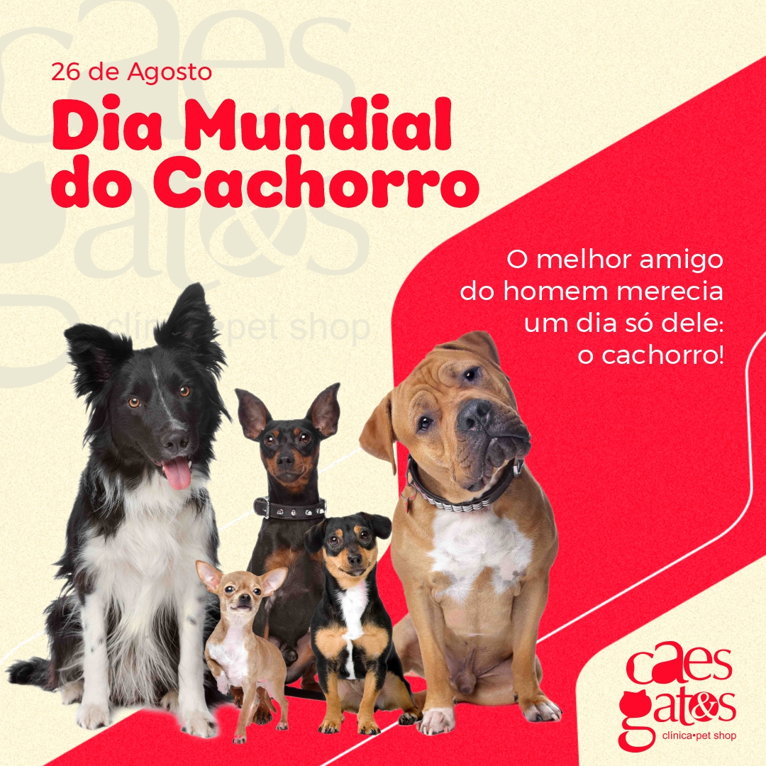 26/08 – Dia Mundial do Cachorro