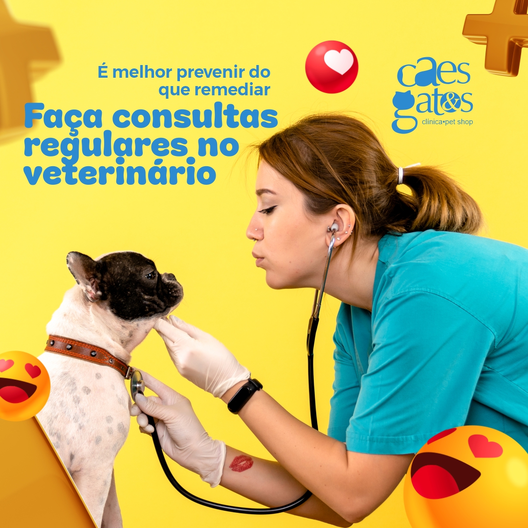 Faça Consultas Regulares no Veterinário