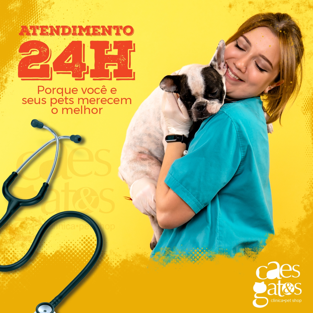 Atendimento 24h | Porque você e seus pets merecem o melhor