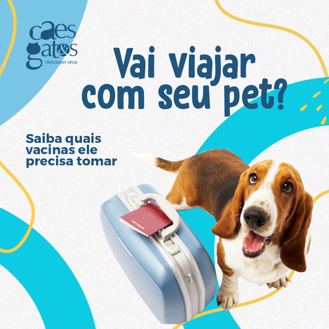 Vai viajar com seu pet? Saiba quais vacinas ele precisa tomar