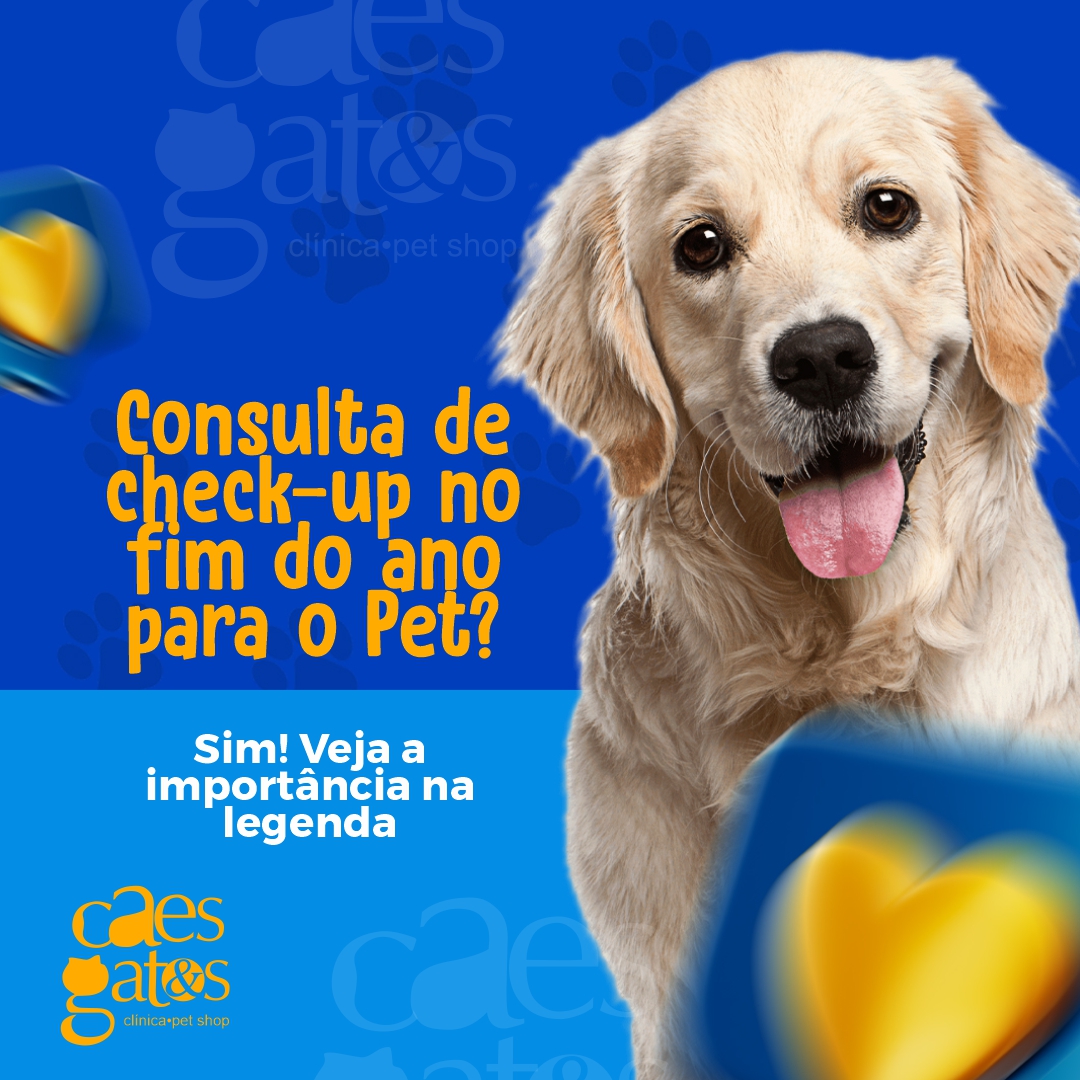 Consulta de check-up no fim do ano para o Pet? Sim! Veja a importância na legenda