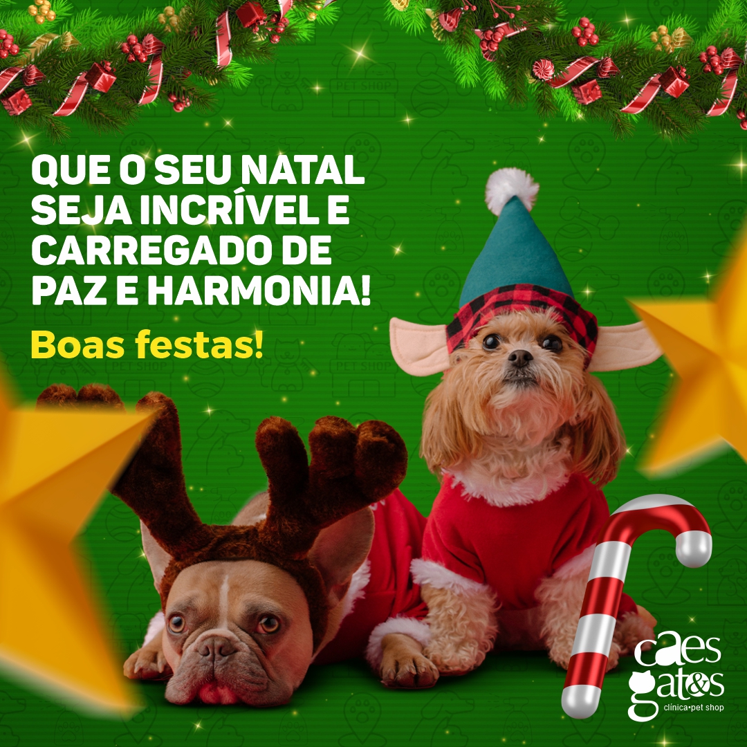 Que o seu Natal seja incrível e carregado de paz e harmonia! | Boas festas!