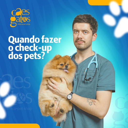 Quando fazer o check-up dos pets