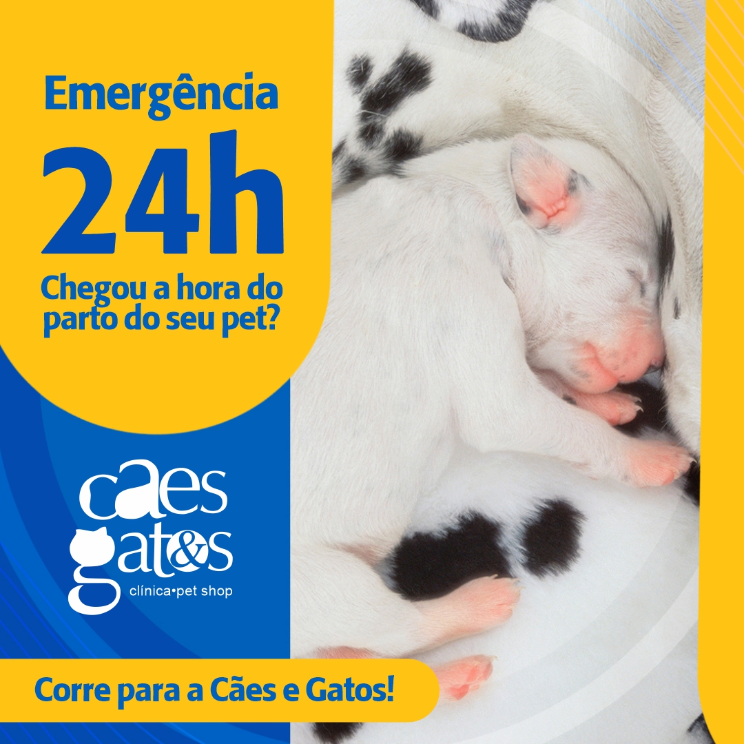 Emergência 24h | Chegou a hora do parto do seu pet?