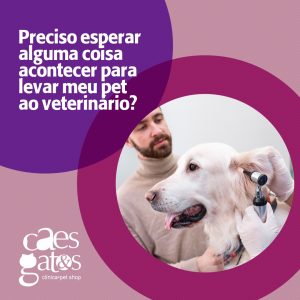 14/02 - Dia Mundial do Amor - Cães e Gatos Veterinária