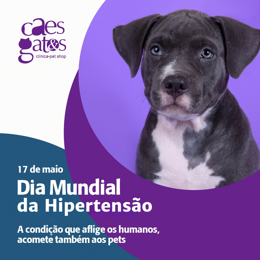 17/05 – Dia Mundial da Hipertensão