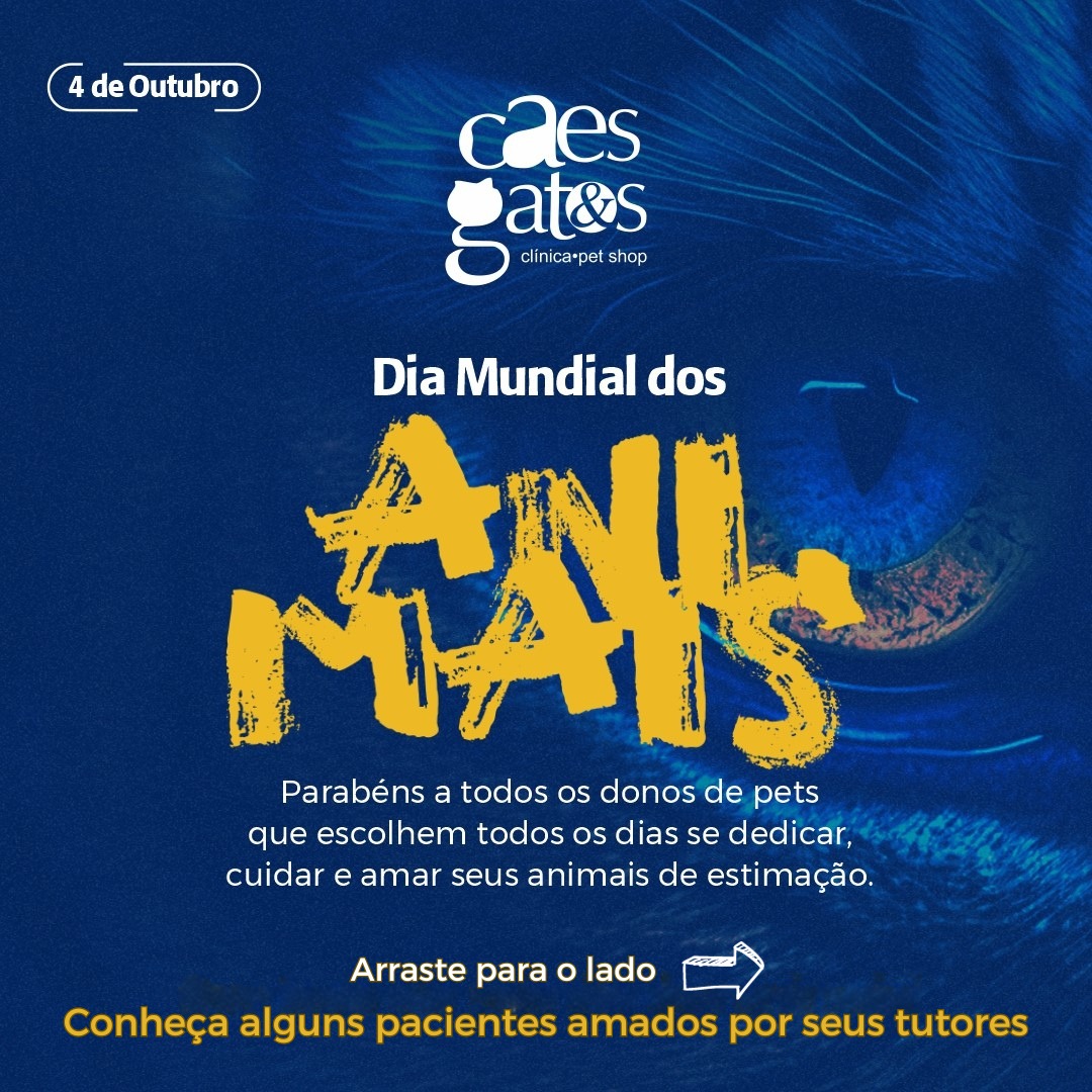 Dia Mundial dos Animais | 04/10