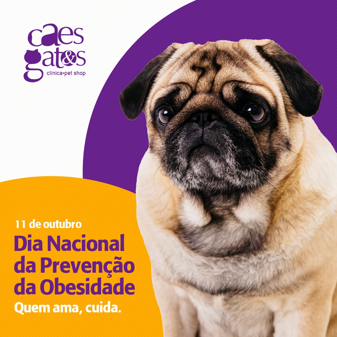 11/10 | Dia Nacional da Prevenção da Obesidade – Quem ama cuida