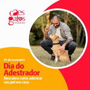 05/11 – Dia do Adestrador | Descubra como adestrar seu pet em casa