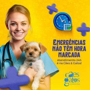 Emergências não tem hora marcada | Atendimento 24h é na Cães e Gatos