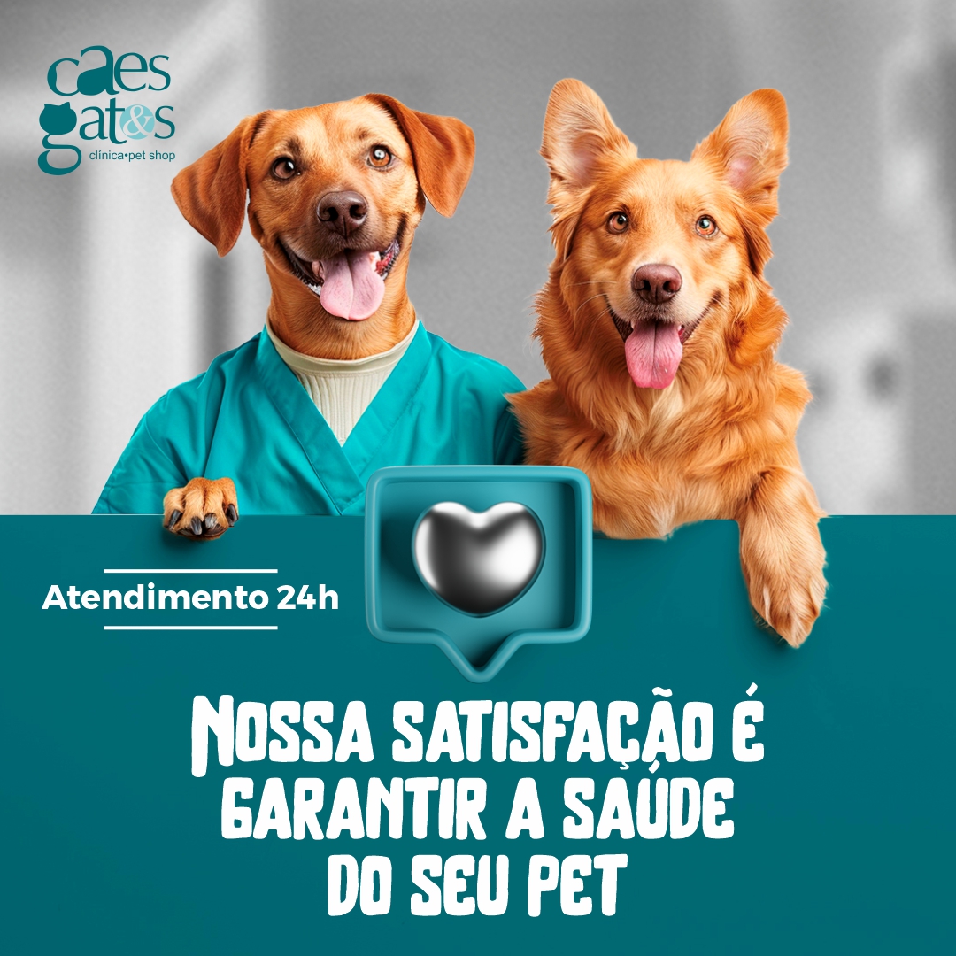 Nossa satisfação é garantir a saúde do seu pet | Atendimento 24h