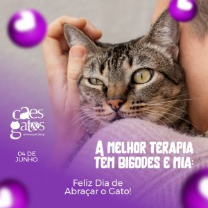 A melhor terapia tem bigodes e mia | Feliz Dia de Abraçar o Gato | 04/06