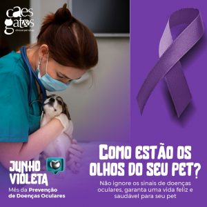 Como estão os olhos do seu pet? | Junho Violeta – Prevenção de doenças oculares