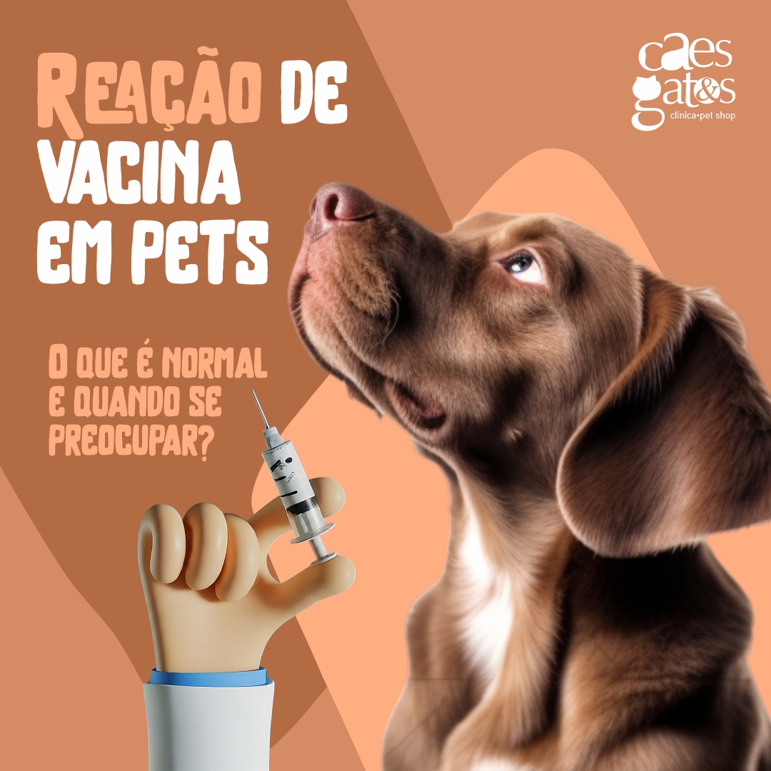 Reação de vacina em pets | O que é normal e quando se preocupar?