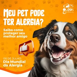 Meu pet pode ter alergia? Saiba como proteger seu melhor amigo | 08/07 – Dia Mundial da Alergia