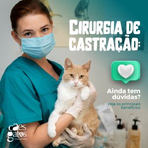 Cirurgia de castração: Ainda tem dúvidas? Veja os principais benefícios