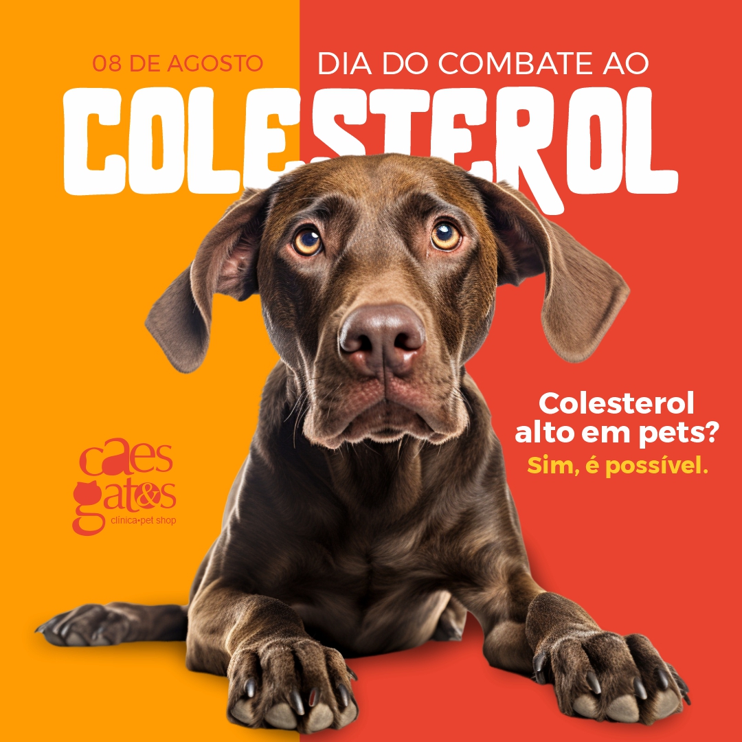 08/08 – Dia do Combate ao Colesterol | Colesterol alto é pets? Sim, é possível