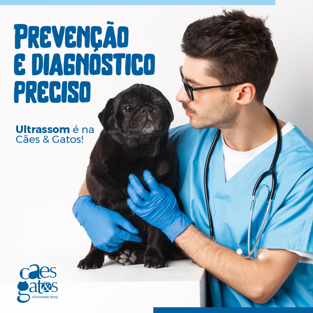 Prevenção e diagnóstico preciso | Ultrassom é na Cães & Gatos