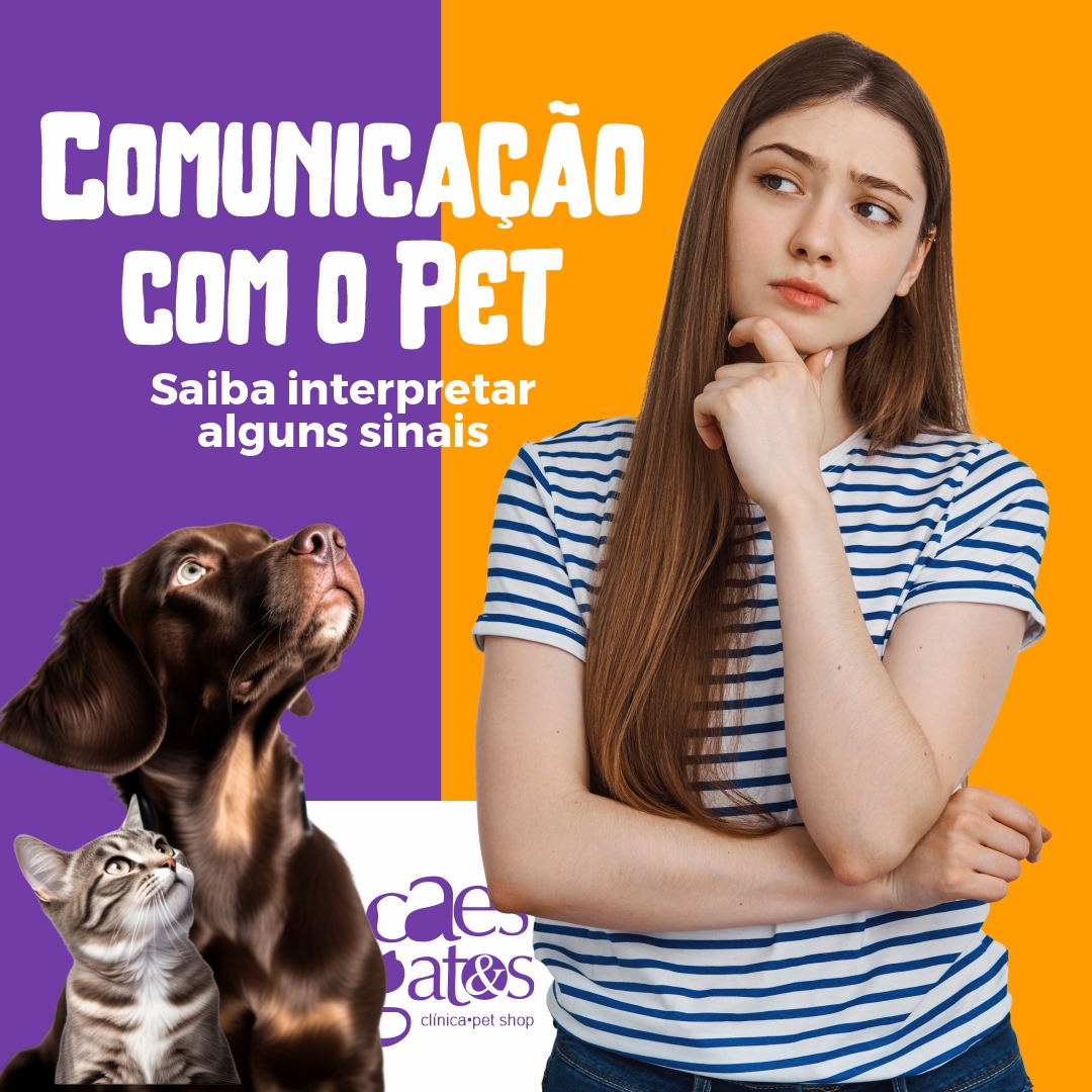 Comunicação com o pet | Saiba interpretar alguns sinais