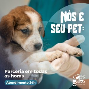 Nós e seu pet: Parceria em todas as horas | Atendimento 24h