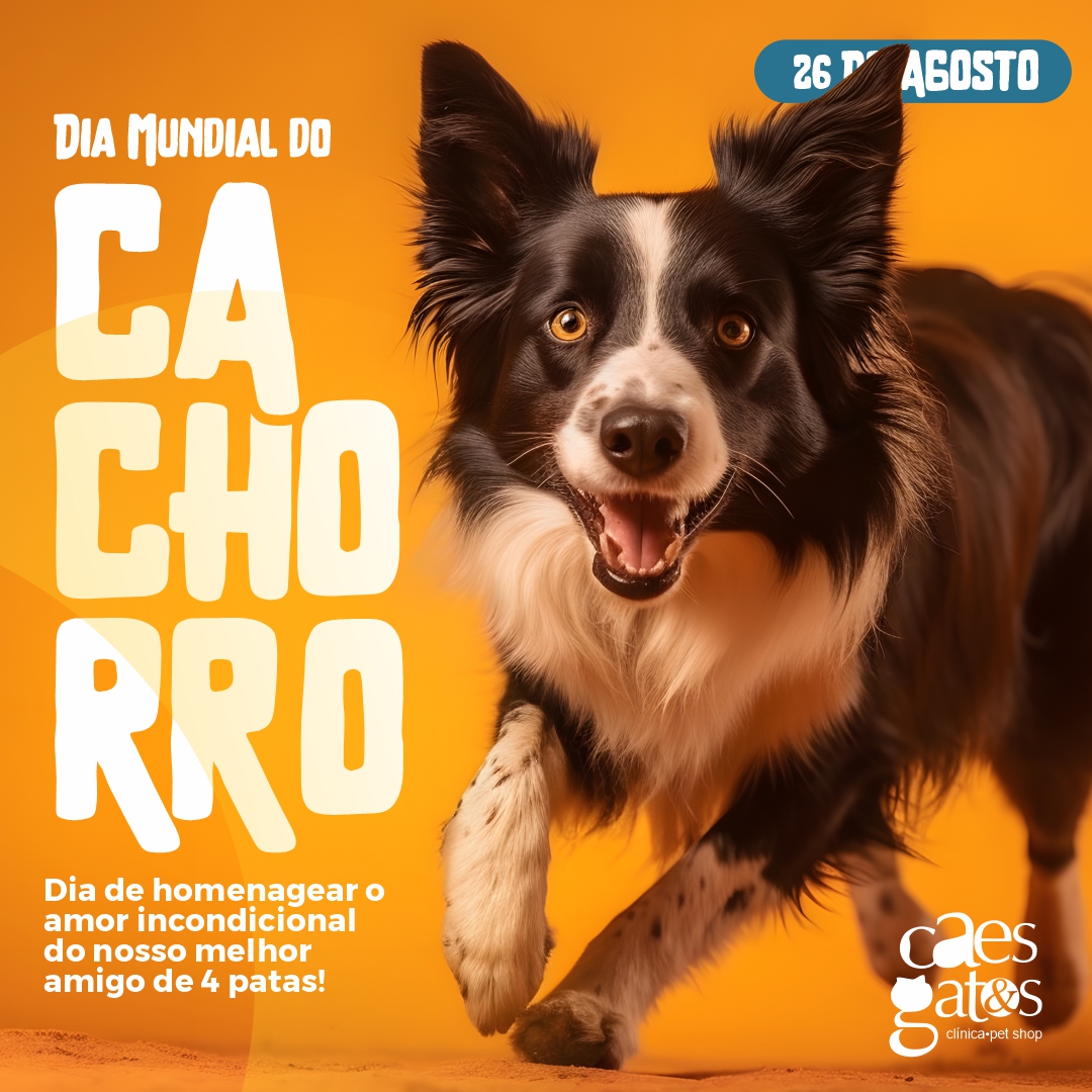 Dia Mundial do Cachorro | 26/08 | Cães & Gatos