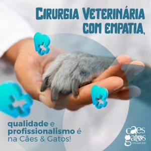 Cirurgia veterinária com empatia | Qualidade e profissionalismo é na Cães e Gatos