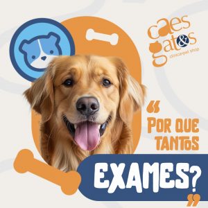 “Por que tantos exames? | Clínica Cães & Gatos”