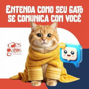 Entenda como seu gato se comunica com você  | Cães & Gatos