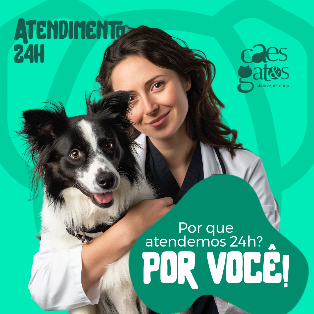 Atendimento 24h | Por que atendemos 24h? Por você!