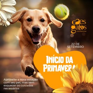 Início da primavera 22/09 | Aproveite a nova estação com seu pet, mas sem esquecer os cuidados necessários