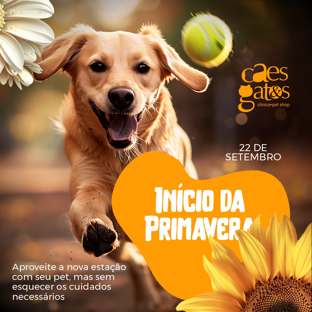 Início da primavera 22/09 | Aproveite a nova estação com seu pet, mas sem esquecer os cuidados necessários