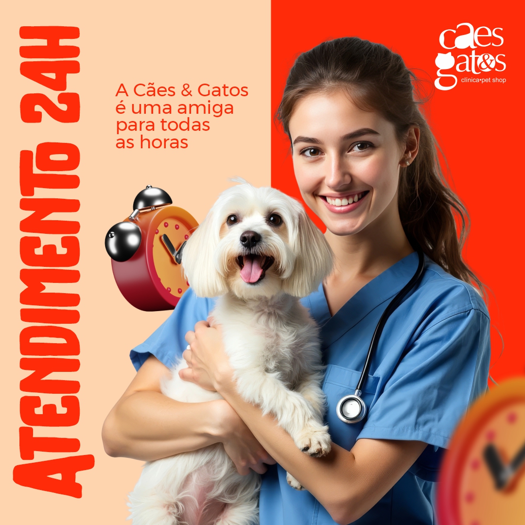 A Cães & Gatos é uma amiga para todas as horas | Atendimento 24h