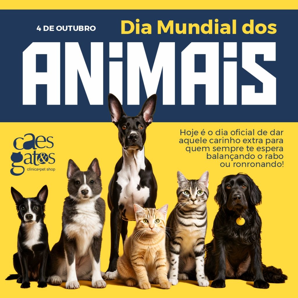 Cães e Gatos C43_02