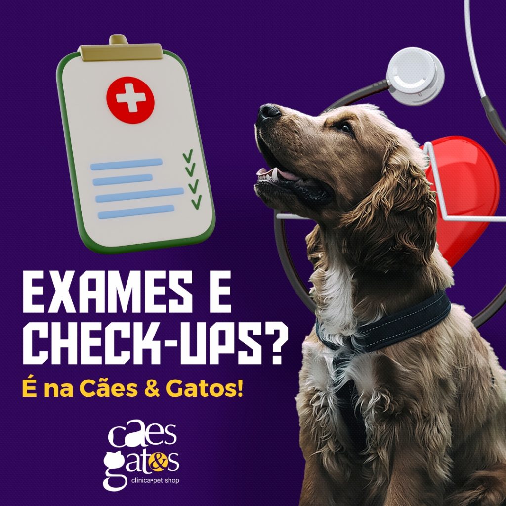 Cães e Gatos C43_03