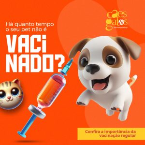 Há quanto tempo o seu pet não é vacinado? | Confira a importância da vacinação regular